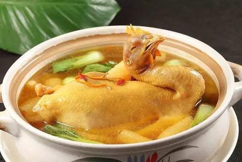 娱乐吃瓜酱鸡汤视频大全,鸡汤视频大全，暖心治愈你的日常